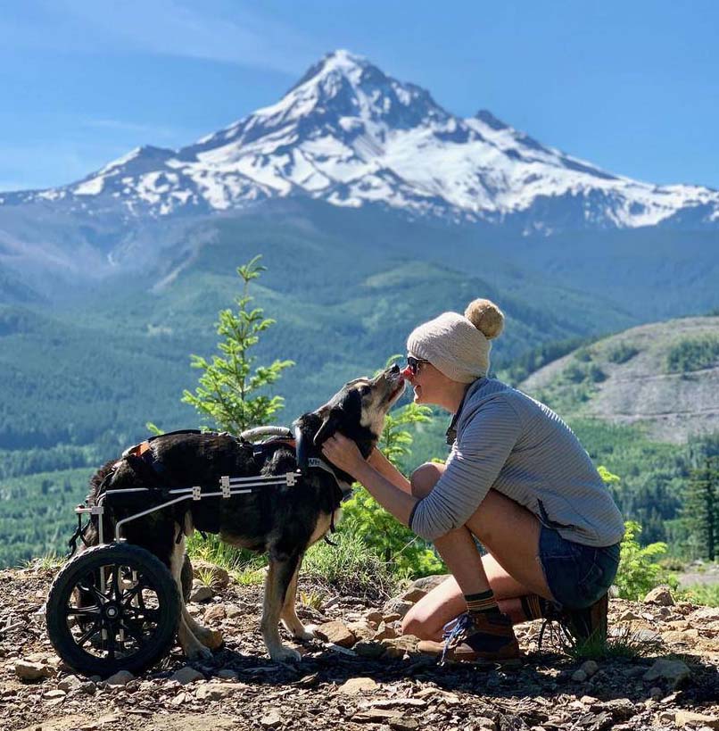 A Disabled Dog Travels the World on Wheels